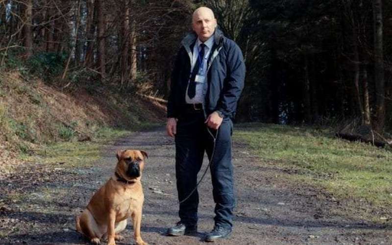 image for Meet the real-life pet detective who finds 24,000 lost animals a year