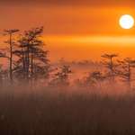 image for Everglades National Park at Sunrise [4390x2931] [OC]