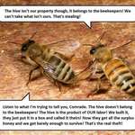 image for These bees know what's up