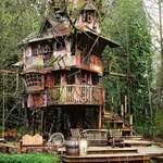 image for Abandoned treehouse in Redmond, Washington. All three of Steve Rondel’s children grew up before he could ever finish it. [550x757] [OS]