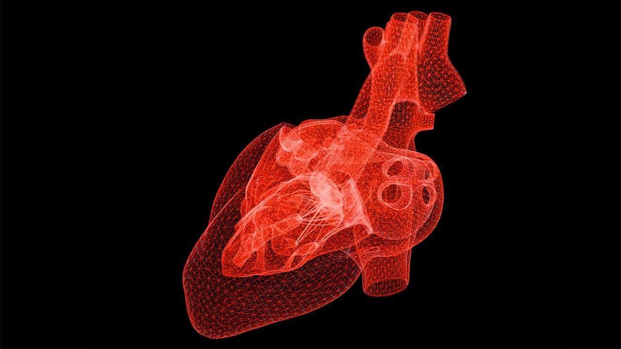 image for Self-taught artificial intelligence beats doctors at predicting heart attacks