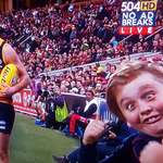 image for This kid in the Adelaide v Essendon game.