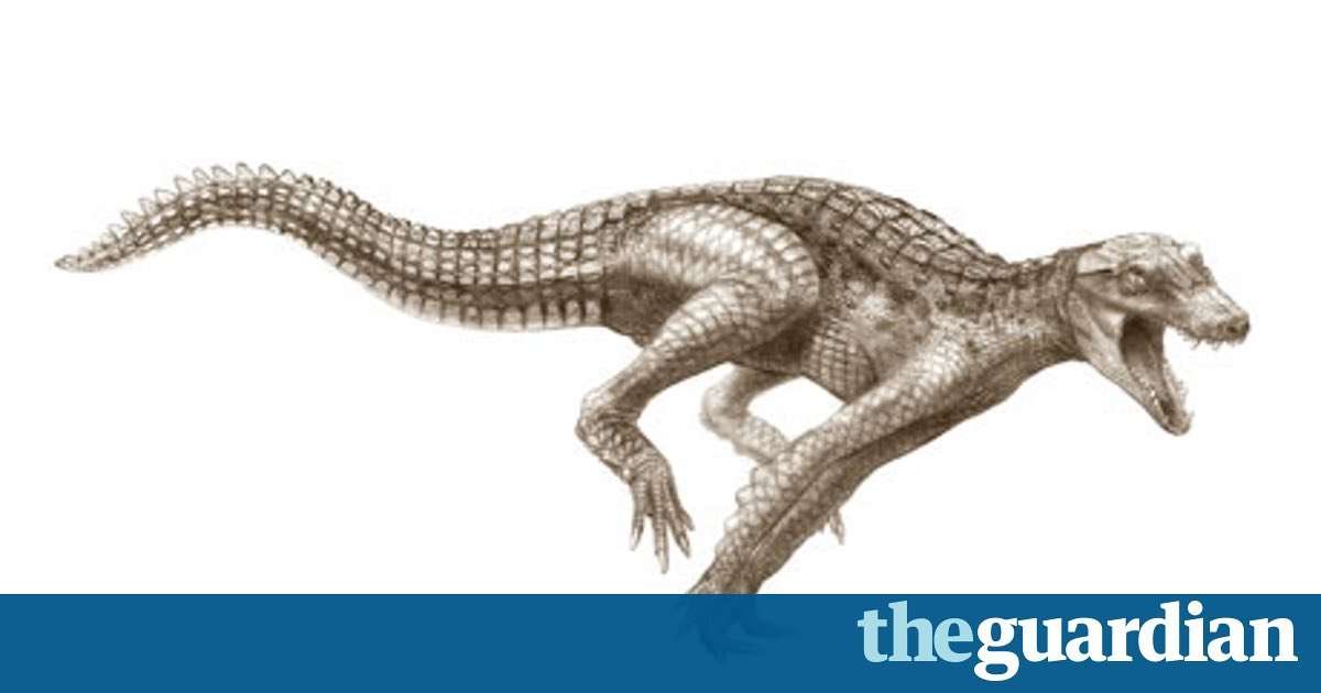 image for Fossil hunters unearth galloping, dinosaur-eating crocodiles in Sahara