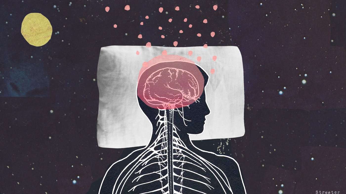 image for Brains Sweep Themselves Clean Of Toxins During Sleep
