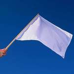 image for It's confederate memorial day. Let's celebrate with the only confederate flag that matters:.