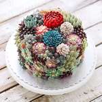 image for [Found] Terrarium Cake by Iven Kawi