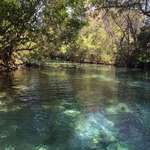 image for Weeki Wachee River, Florida [2448x3264]