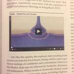 image for My psychology textbook printed this video about cocaine