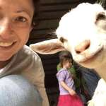 image for Goat selfie. Yes, I know she's prettier than me. I accept it.