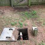 image for My friend's septic tank looks like Rafiki from Lion King
