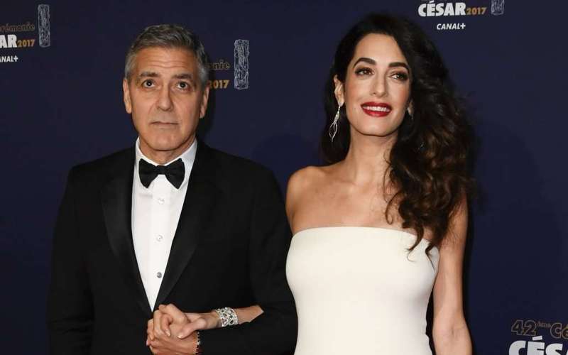 image for George and Amal Clooney donate $10,000 to dog rescue organization