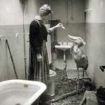 image for As Soviet troops approached Berlin in 1945, citizens did their best to take care of Berlin Zoo's animals.