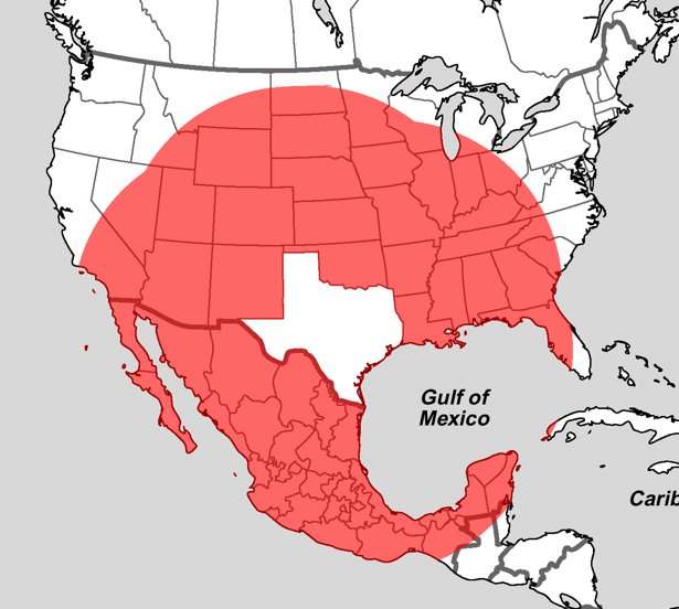 image for What's Closer to Texas Than Texas Is to Itself?