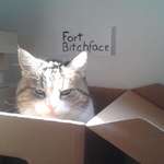 image for Put this sign above my cat's favourite box. Totally worth it.