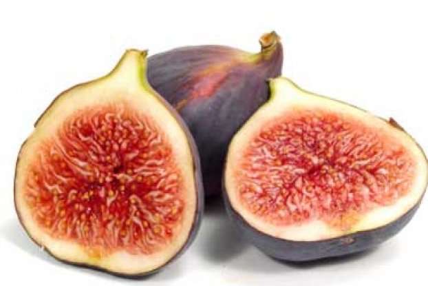 image for Are figs really full of baby wasps?