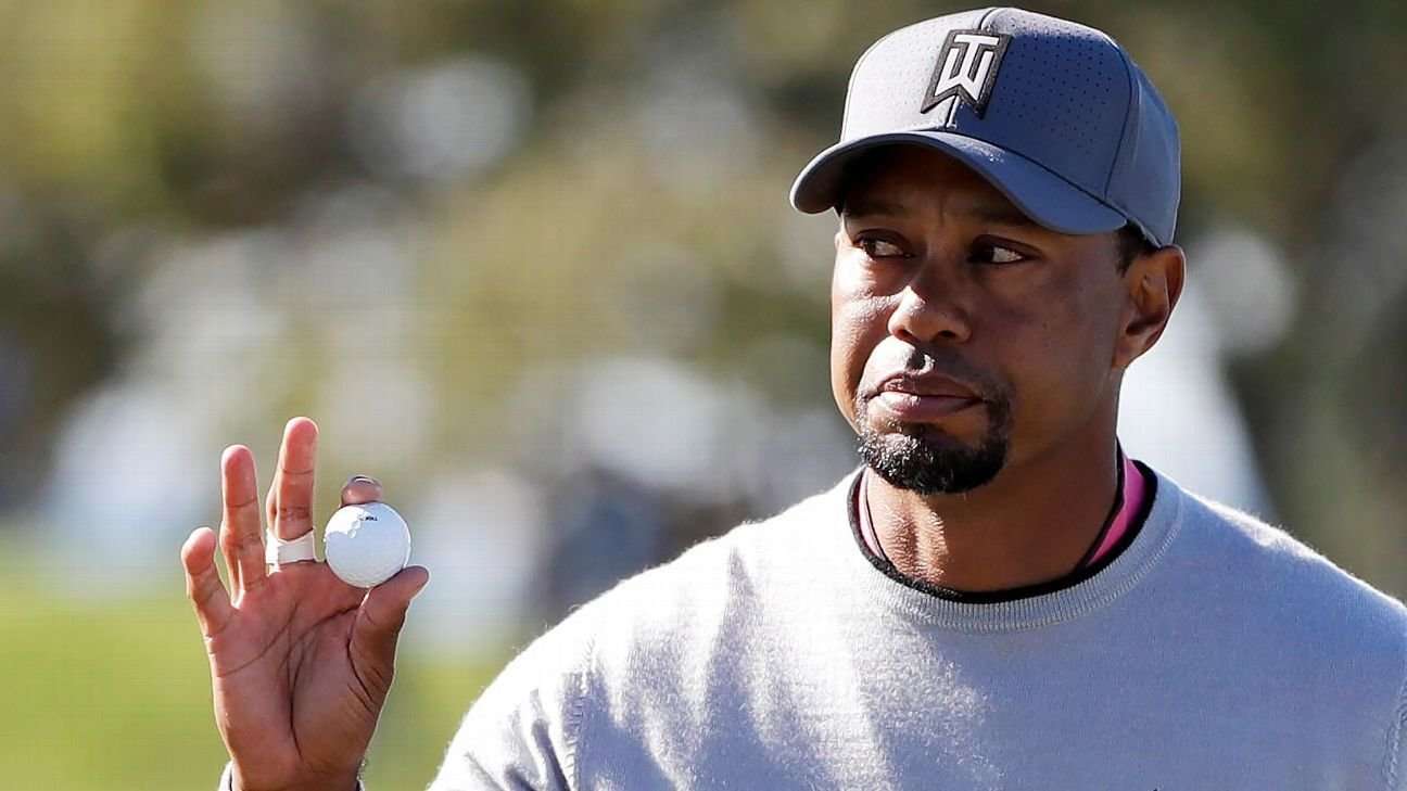 image for Tiger Woods found asleep in car at time of arrest on DUI charge