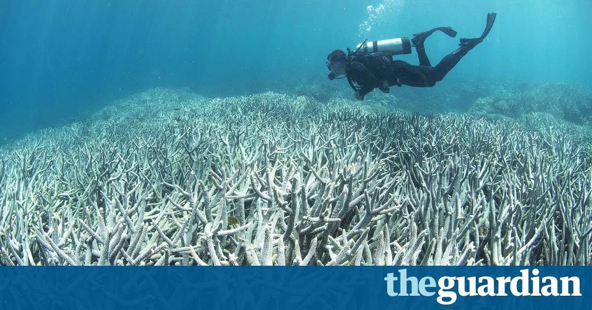 image for John McCain urges action on Great Barrier Reef and Paris climate deal
