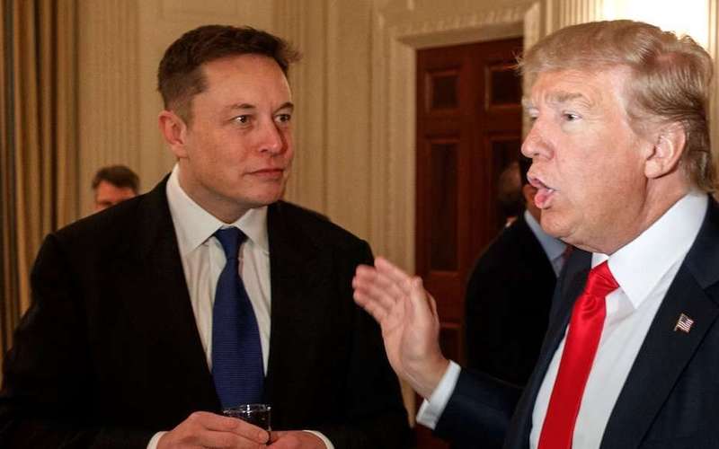 image for Elon Musk just threatened to leave Trump's advisory councils if the US withdraws from the Paris climate deal
