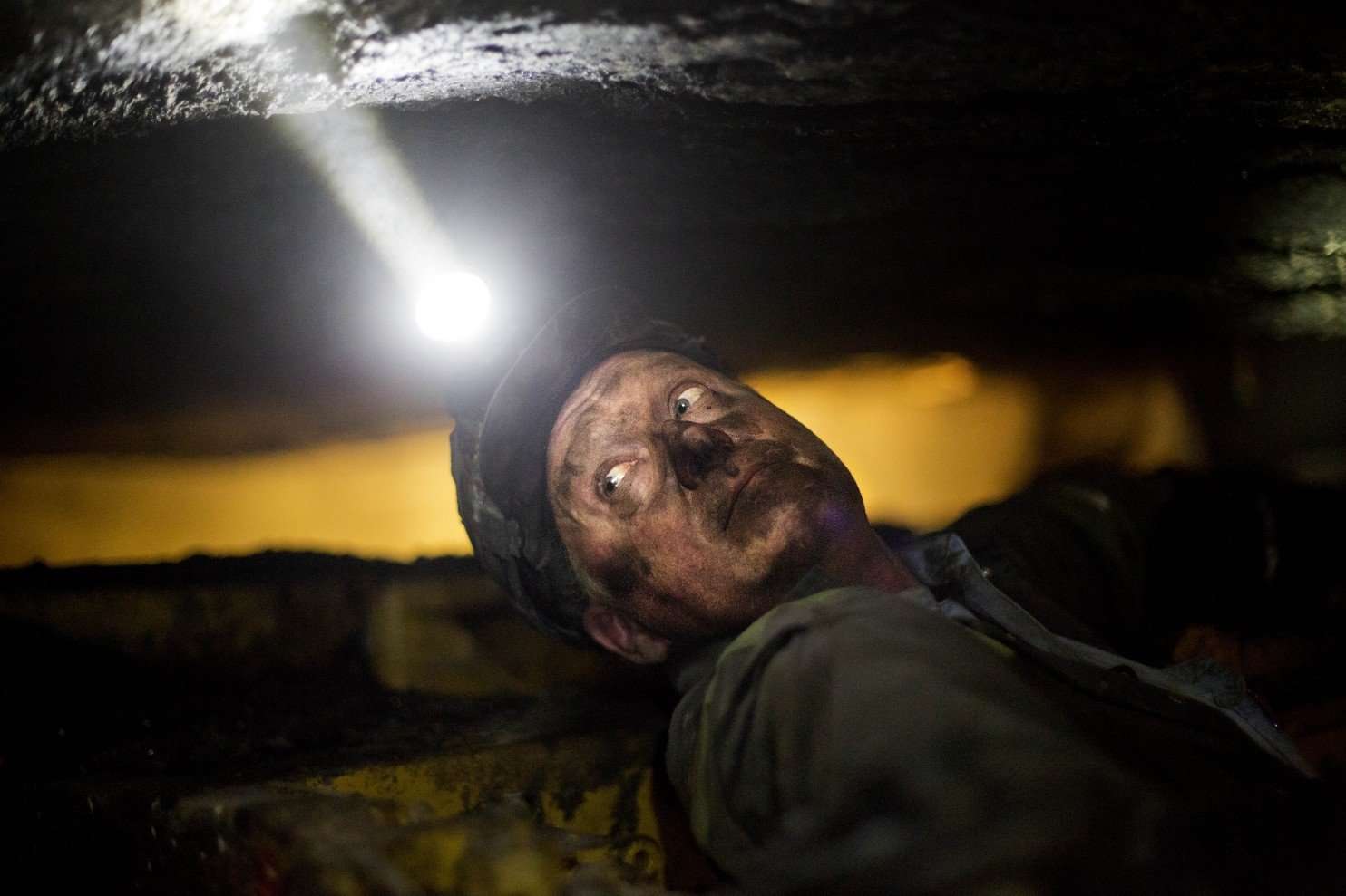 image for The entire coal industry employs fewer people than Arby’s