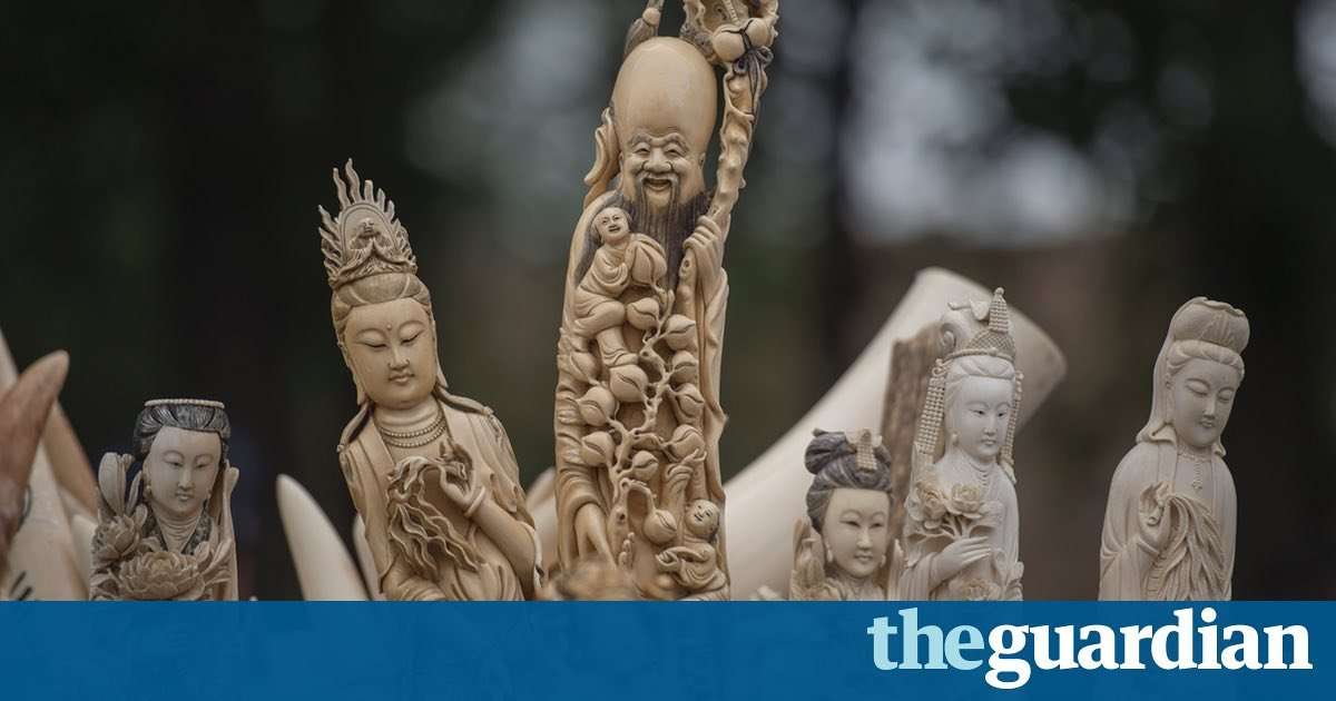 image for China's ivory ban sparks dramatic drop in prices across Asia