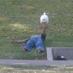 image for This guy bench-pressing a goose at L.A. Park