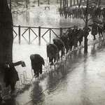image for Paris flood, 1924.