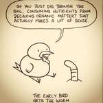 image for The Early Bird and the Worm