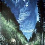 image for Mount St. Helens Eruption, 1980