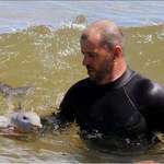 image for Literally never seen a baby Dolphin, till today...HELP, TOO CUTE