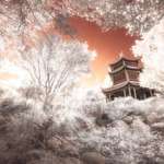 image for Temple amongst the trees, Infrared Photo, SteveCampbell, 2016