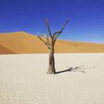 image for Deadvlei, Namib Desert, Namibia. (3048x3048)
