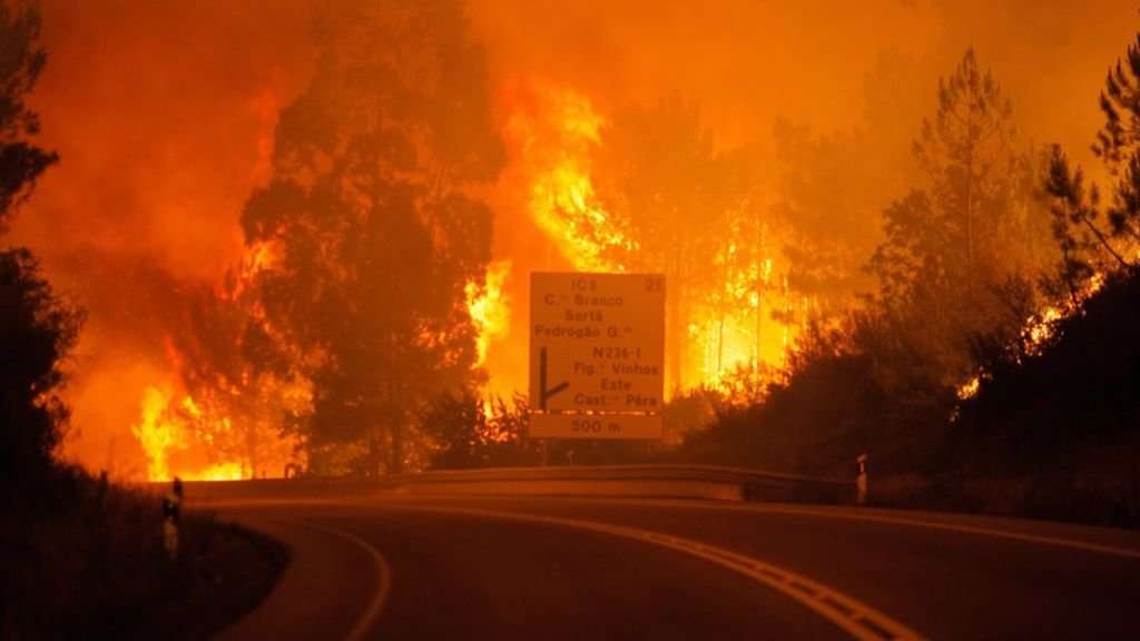 image for Portugal forest fires kill 62 near Coimbra
