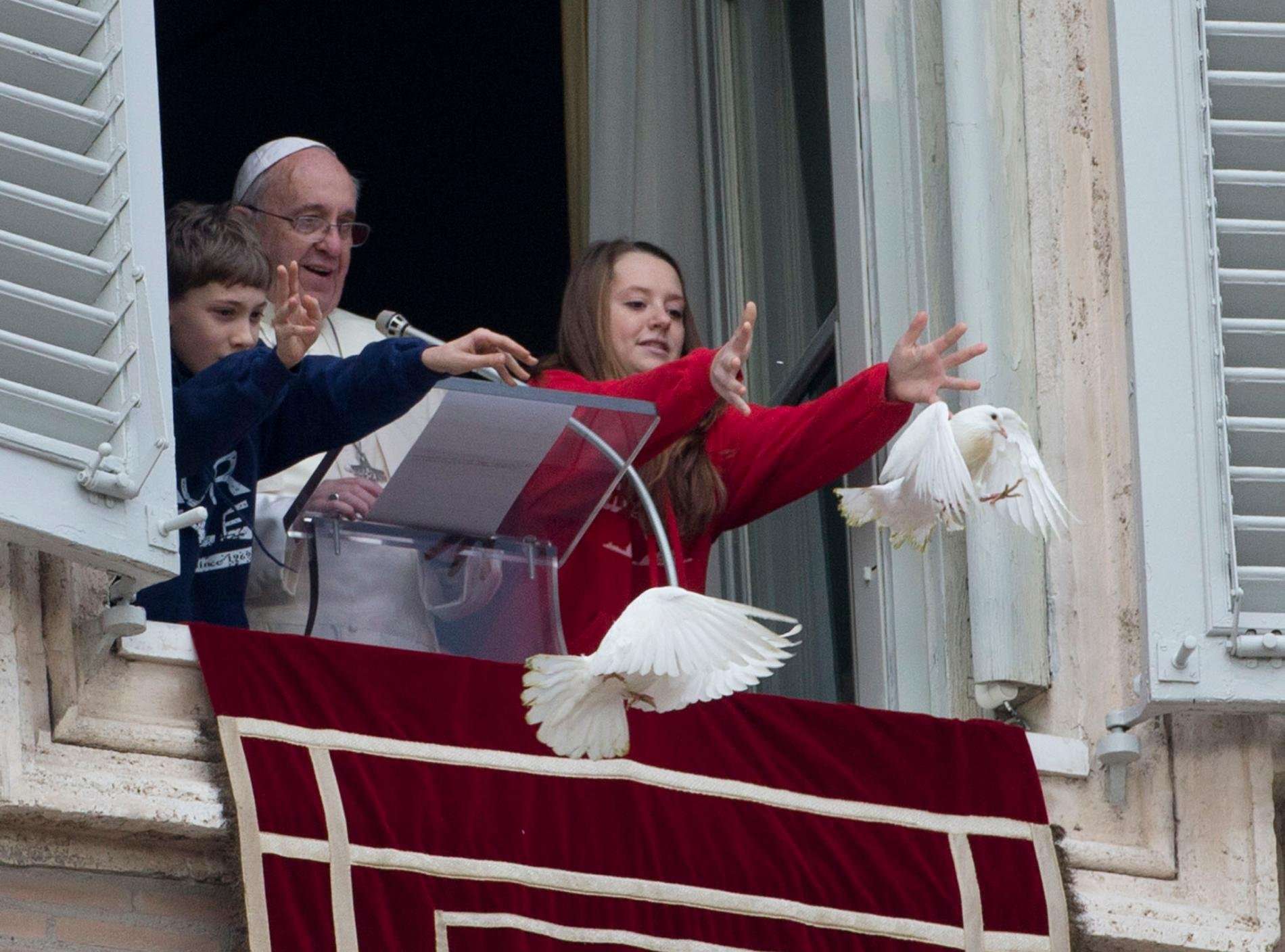 image for Why Birds Attacked the Peace Doves in Rome