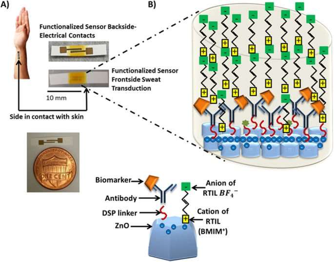 image for A new paradigm in sweat based wearable diagnostics biosensors using Room Temperature Ionic Liquids (RTILs)