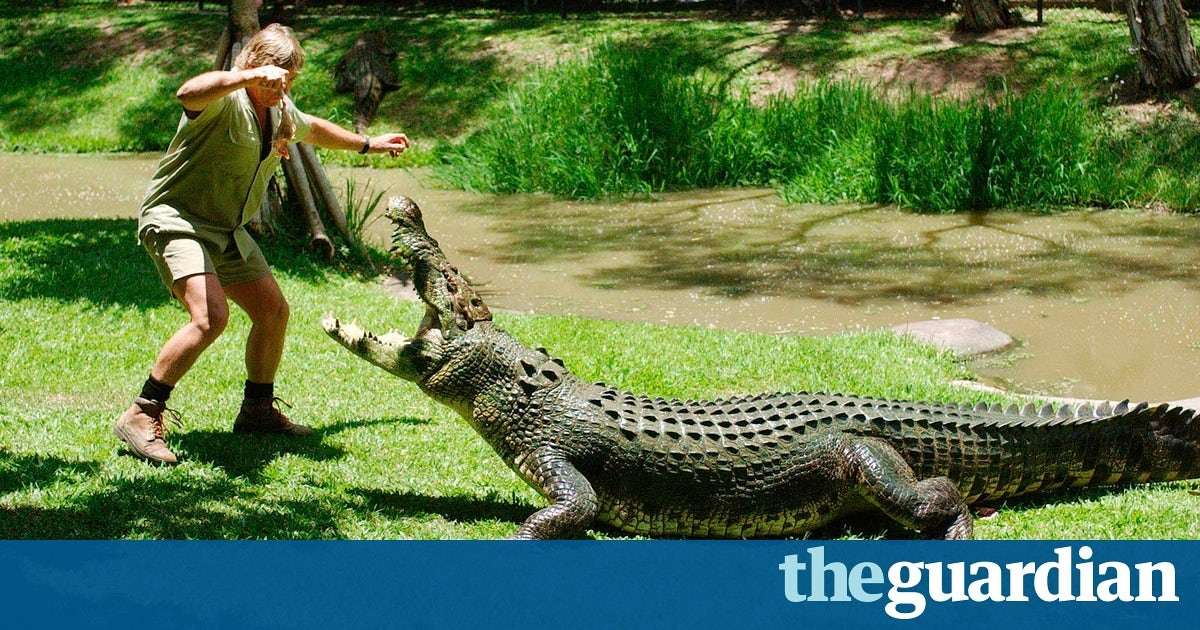 image for Steve Irwin to be honoured with Hollywood Walk of Fame star
