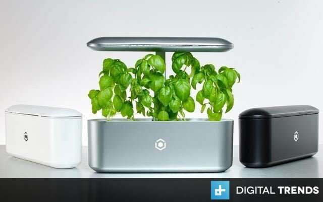 image for Indoor smart garden uses artificial intelligence to grow real plants