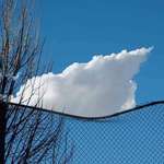 image for This cloud sitting on this fence.