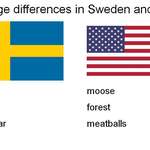 image for Skillnader mellan språk