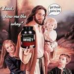 image for The whey, the truth,and the life