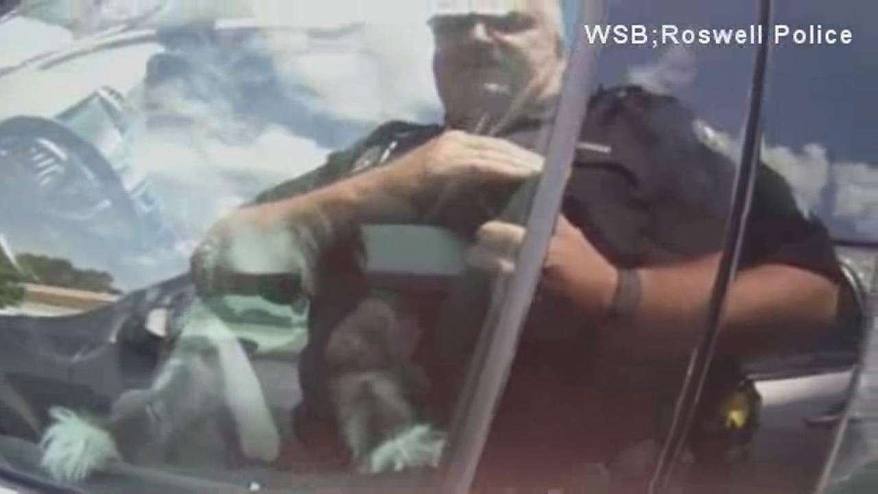 image for Dogs trapped in 167-degree car rescued by police in Georgia