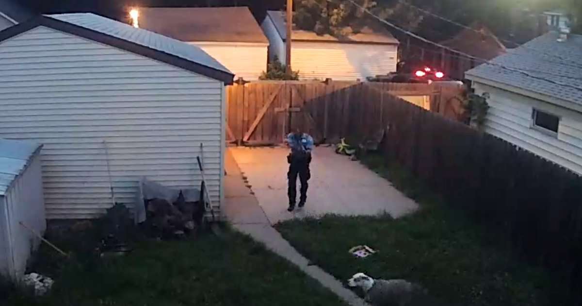 image for Video shows police officer shooting dogs in north Minneapolis yard