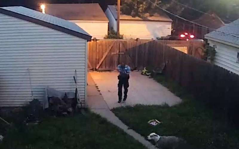 image for Video shows police officer shooting dogs in north Minneapolis yard