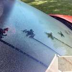 image for Frog left his tracks behind on a dewy windshield this morning