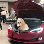 image for Wen u purchase a Tesla it comes wit a cloud to store xtra electricity for extended range