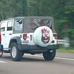 image for This Wilson spare tire cover