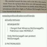 image for McGonagall for President 🐈