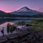 image for The sunset on Mount Hood from Trillium Lake, I wonder if the duck appreciated the beauty [OC][3000x2000]