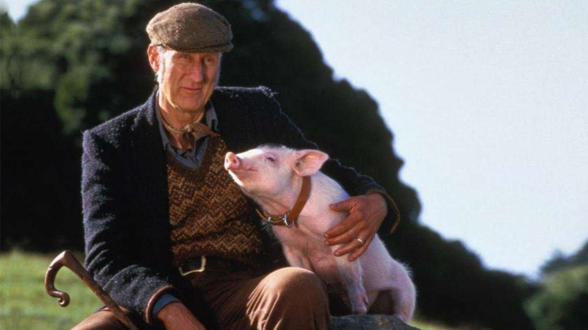 image for 'Babe' Is Now 20-Years-Old, and So Is Star James Cromwell's Animal Rights Crusade