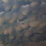 image for 🔥🔥Plane flying under mammatus clouds🔥🔥
