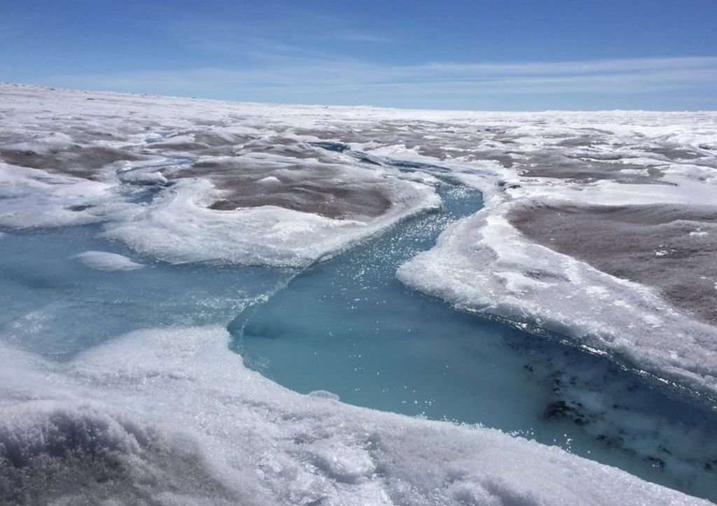 image for Sea level fears as Greenland darkens